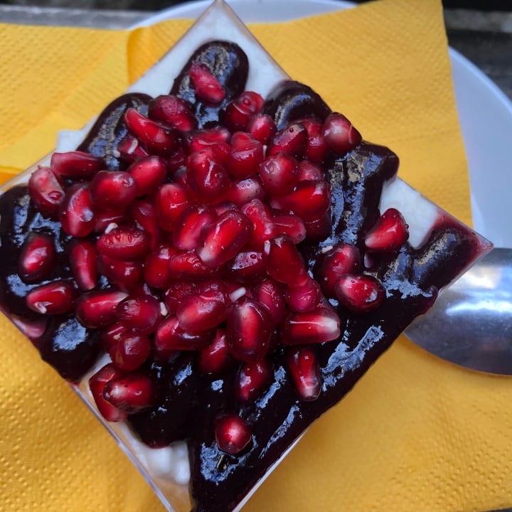 photo of PappaGioia Panna Cocca shared by @laurabambi on  08 Oct 2022 - review