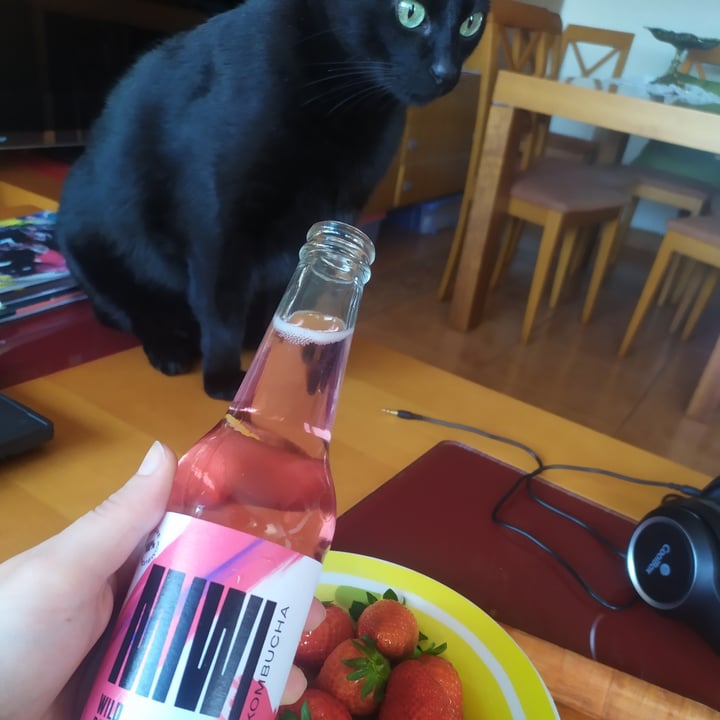 review photo of Miwi Kombucha shared by @nurus on 04 Apr 2022 - review