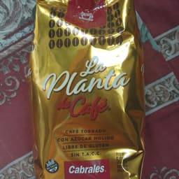 La Planta De Café