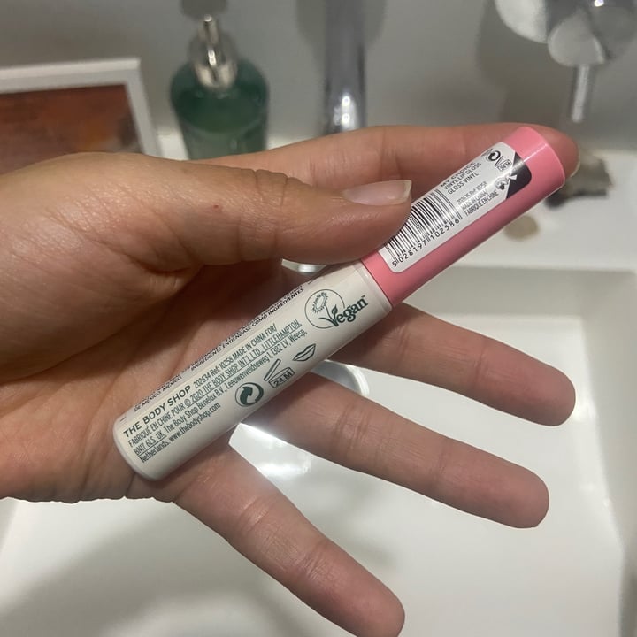 photo of The Body Shop my choice lipgloss shared by @moonberodd on  20 Nov 2022 - review