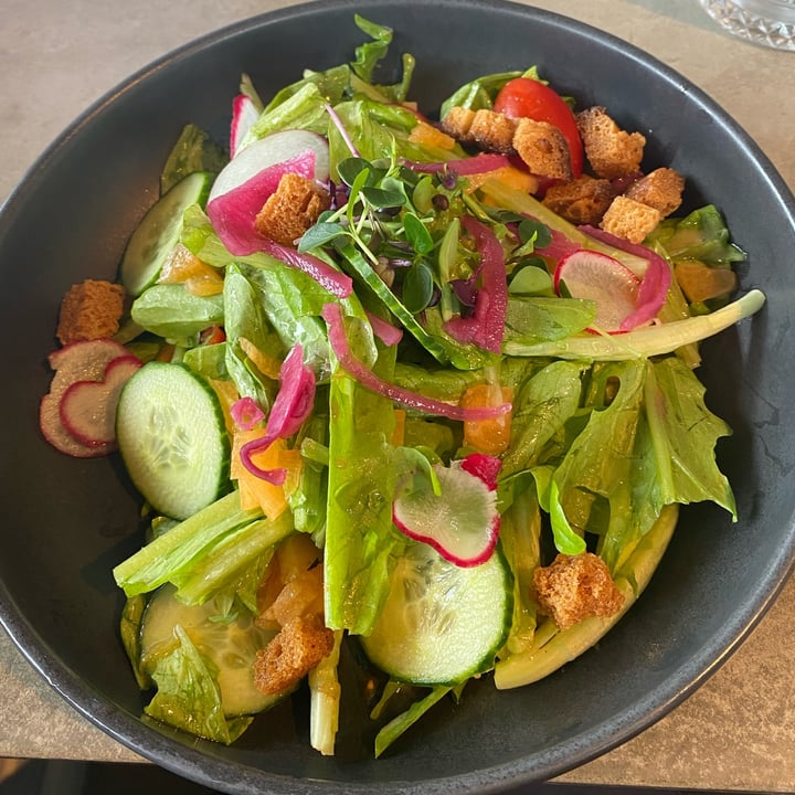 photo of Reks Summer Salad shared by @veraab on  06 Jul 2022 - review