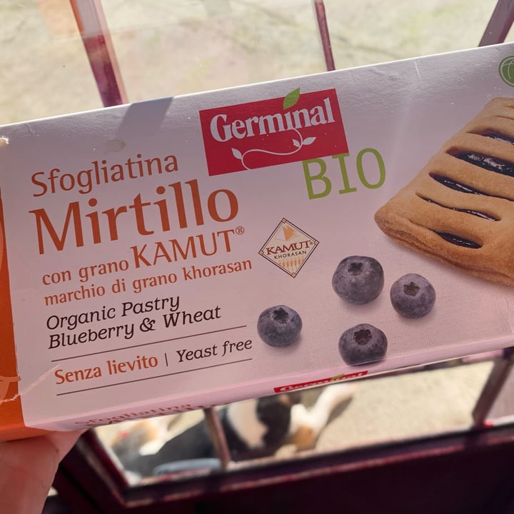 photo of Germinal Bio sfogliatina al mirtillo shared by @ilaveg on  04 Jan 2022 - review