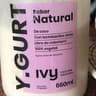 y. gurt yvi