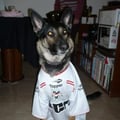 guada11 @guada11 profile image
