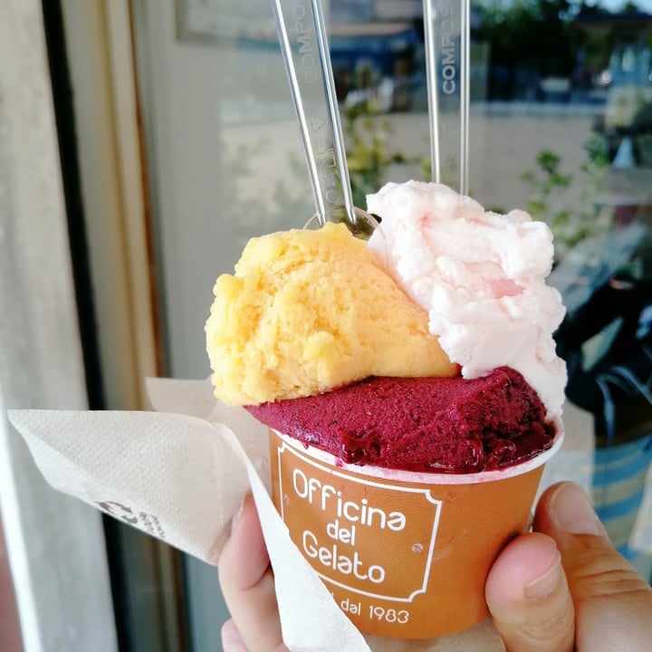 photo of Officina del Gelato Gelato Gusti Frutta shared by @grippin80 on  11 Aug 2022 - review