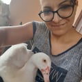 fagiolidisoia @fagiolidisoia profile image