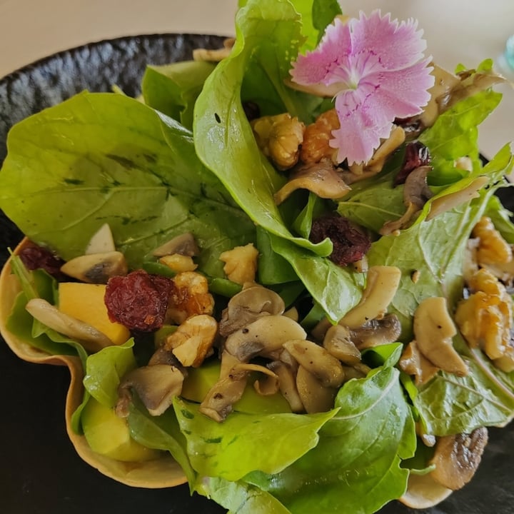 photo of Sukoon Restaurant مطعم سكون Garden Salad shared by @roxannegoh on  30 Oct 2022 - review