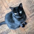 erimars @erimars profile image