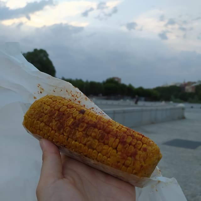 「Mazorcas」の料理の写真