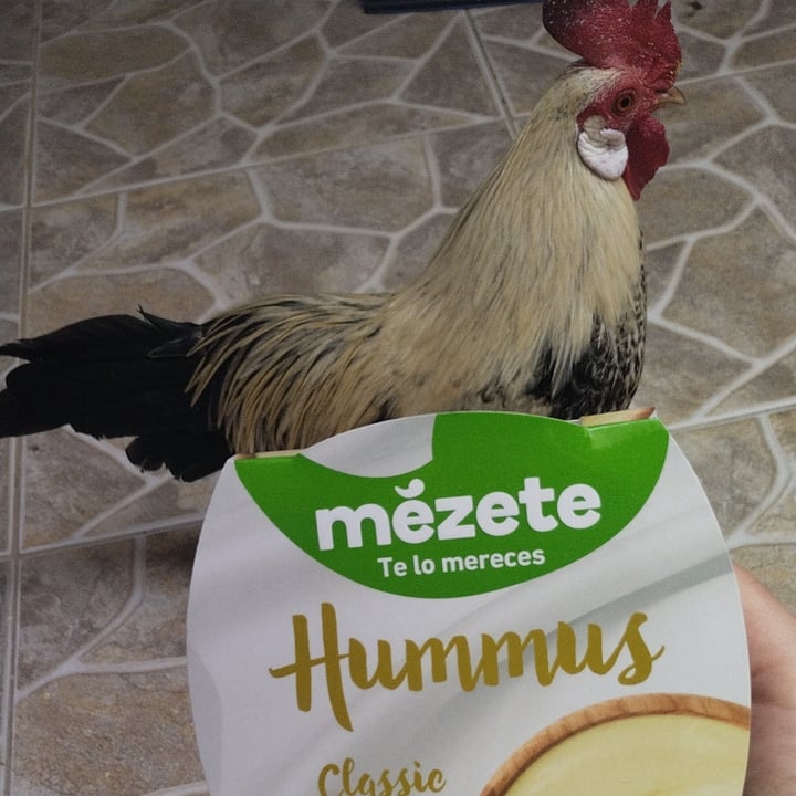 photo of Mezete Hummus Classic shared by @laucast on  02 Apr 2022 - review