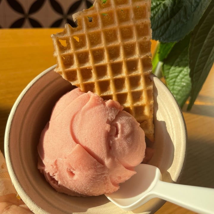 photo of Jeni's Splendid Ice Creams Frose Sorbet shared by @vivalaviolet on  22 Jun 2022 - review