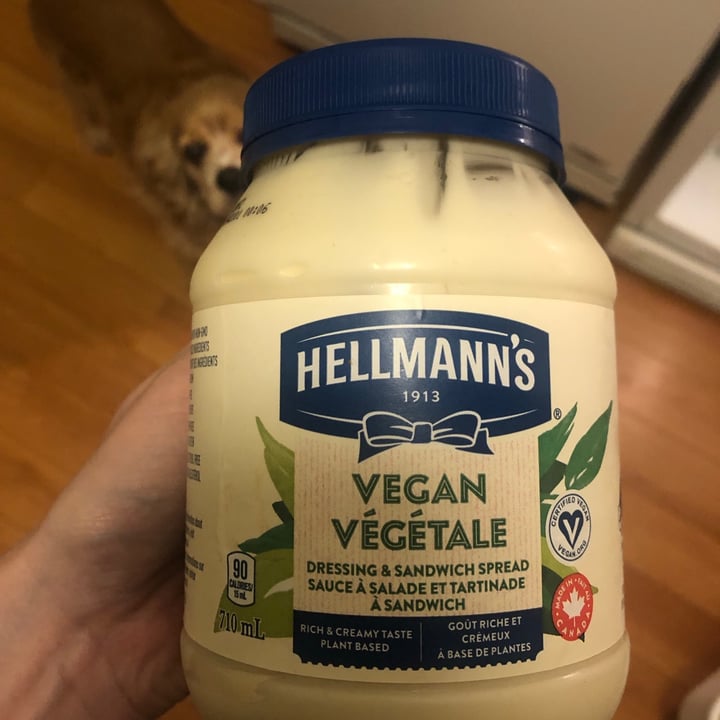 photo of Hellmann’s Hellman’s Vegan Mayonnaise shared by @darcee on  16 Jun 2021 - review