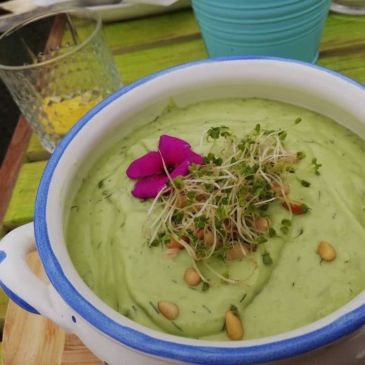 review photo of Coolinart Vegan Avocado Soup shared by @tamara on 03 Oct 2019 - review