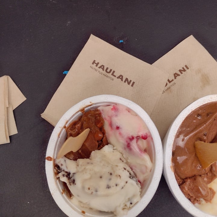 photo of Haulani 1/4 kg helado shared by @javierayp on  06 Dec 2021 - review
