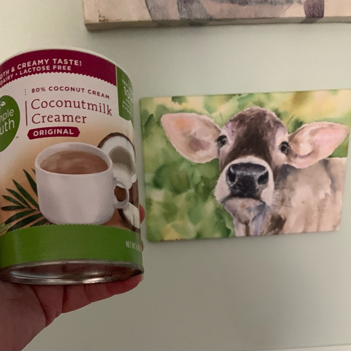 Simple Truth Coconut Creamer Original Reviews abillion