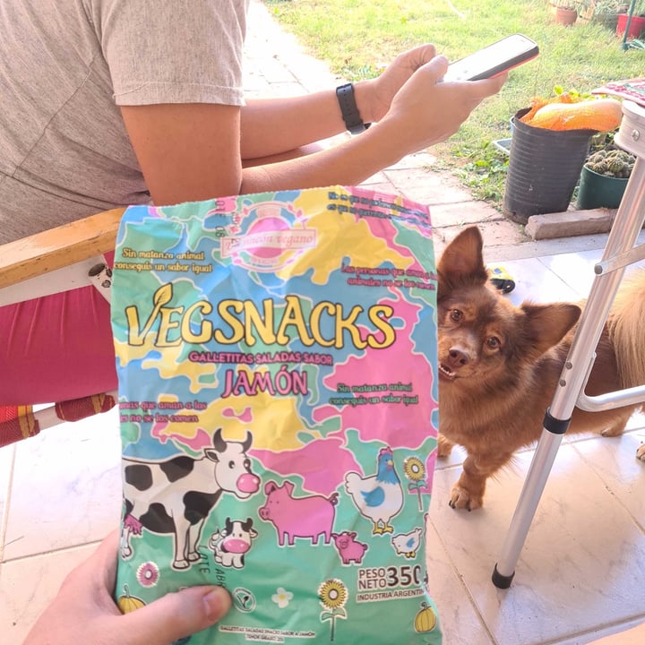 review photo of Un Rincón Vegano Vegsnacks Galletas Saladas sabor Jamon shared by @vaca on 11 Apr 2021 - review
