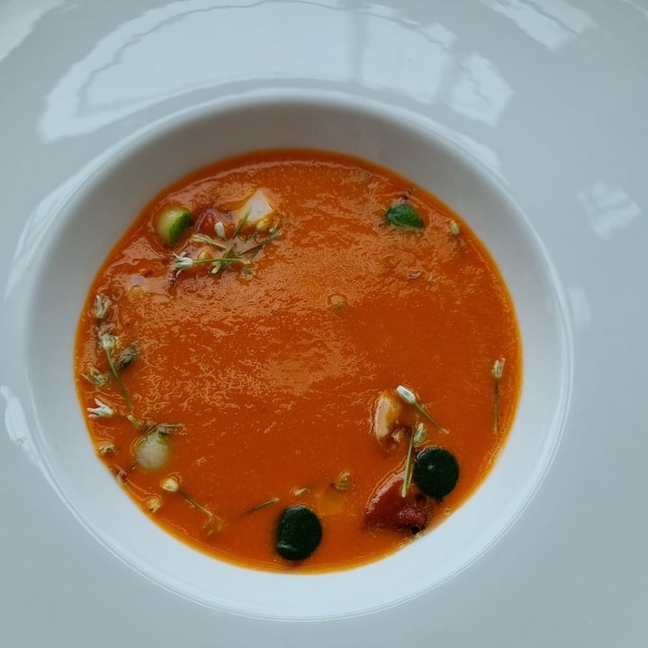 review photo of Artemis Grill Red Pepper Soup shared by @plantbasedlifestyle on 09 May 2022 - review