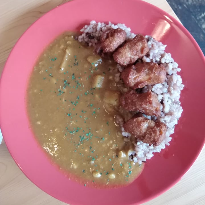 photo of 浅草ヴィーガンカフェ THE FARM CAFE curry with nuggets topping shared by @blacktigerdog on  25 Jun 2020 - review