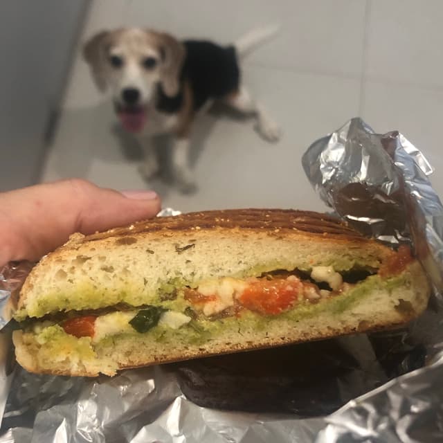 Photo of the dish “panini”