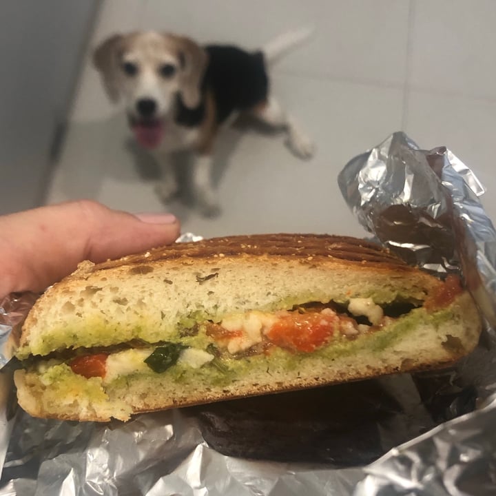 photo of Everyday Vegan Cafe panini shared by @s1224 on  07 Oct 2021 - review