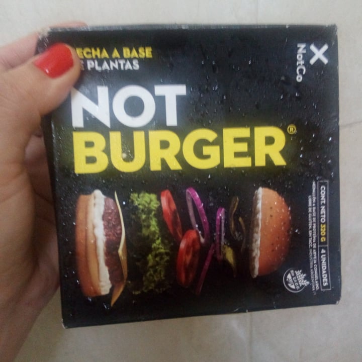 photo of NotCo Not Burger shared by @andreitapobre on  14 Jan 2021 - review