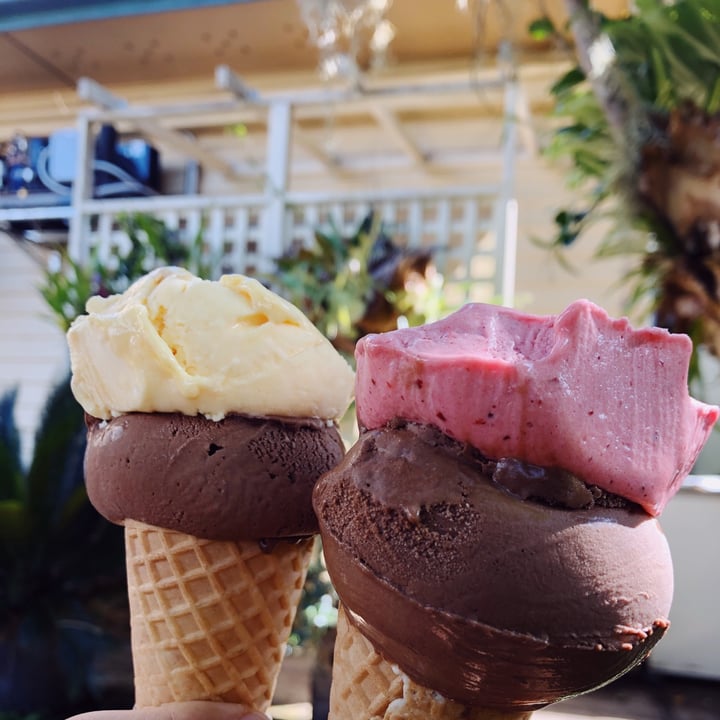 review photo of The Bellingen Gelato Bar Chocolate Mousse & plum Sorbet shared by @chiara2202 on 27 Apr 2022 - review