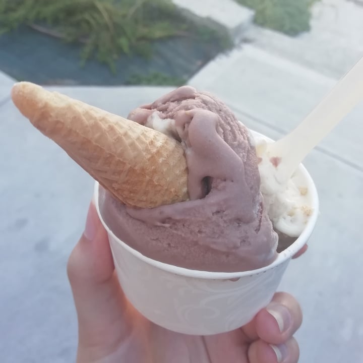 photo of L'angolo del Gelato Gelato vegano shared by @andromeda13 on  09 Aug 2022 - review