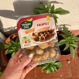 My veggie day