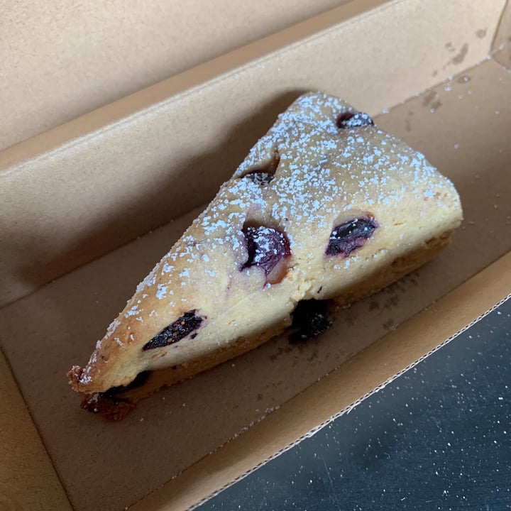 photo of Chu And Co Blueberry Scone shared by @jashment on  07 Apr 2021 - review