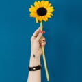 valeriazan @valeriazan profile image