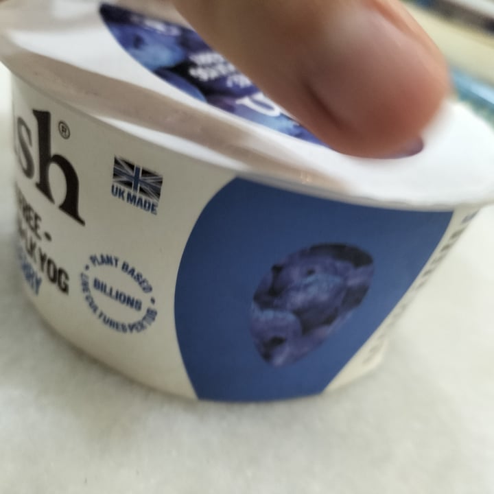 photo of Nush Almond Milk Yog Blueberry shared by @glitteryunicorn on  08 Nov 2022 - review