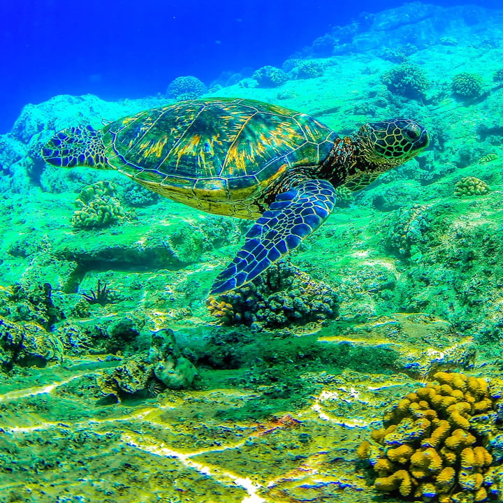 review photo shared by @bing111 on 07 Jun 2022 - post