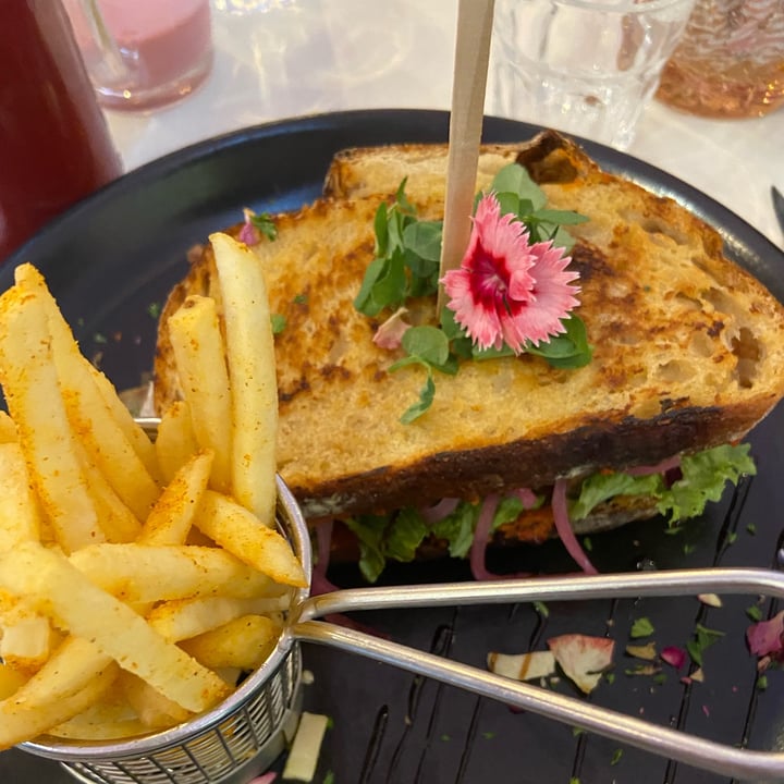 review photo of Goddess Cafe Vegan Mediterranean Veggie Toasted Sandwich shared by @plantbasedstorm on 11 Apr 2022 - review