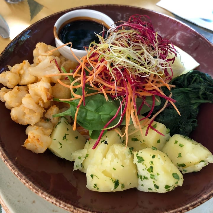 review photo of Shake Café Piatto del giorno shared by @vioveg on 17 Aug 2021 - review