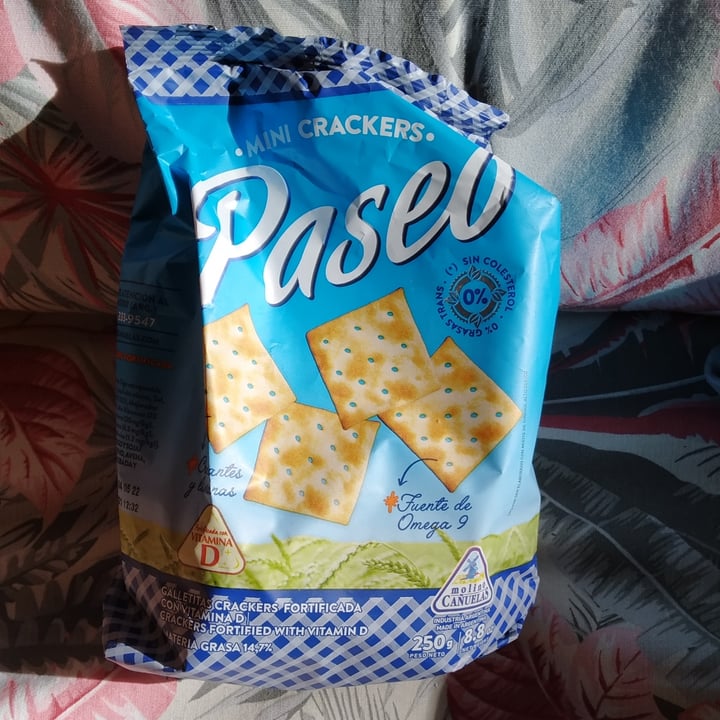 photo of Molino Cañuelas Galletitas Mini Crackers shared by @lila0901 on  09 Oct 2021 - review