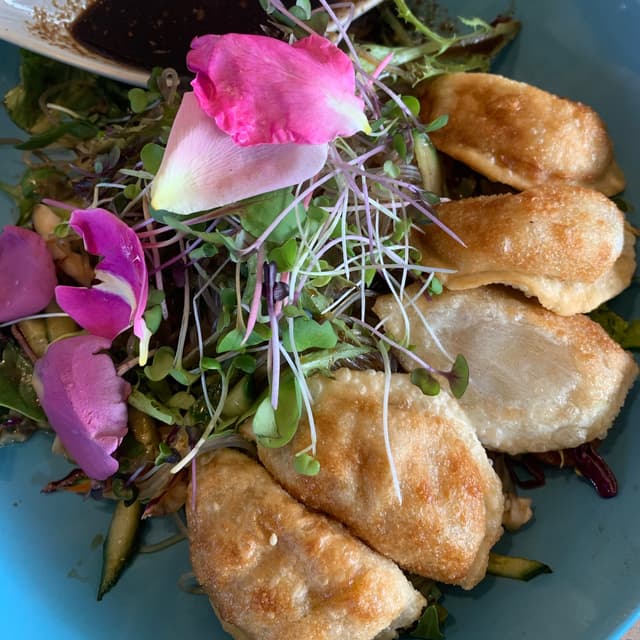 菜肴“Ginger Dumplings with Vietnamese Salad”的照片
