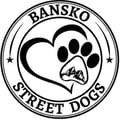 banskostreetdogs @banskostreetdogs profile image