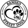 banskostreetdogs