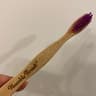 Humble Brush