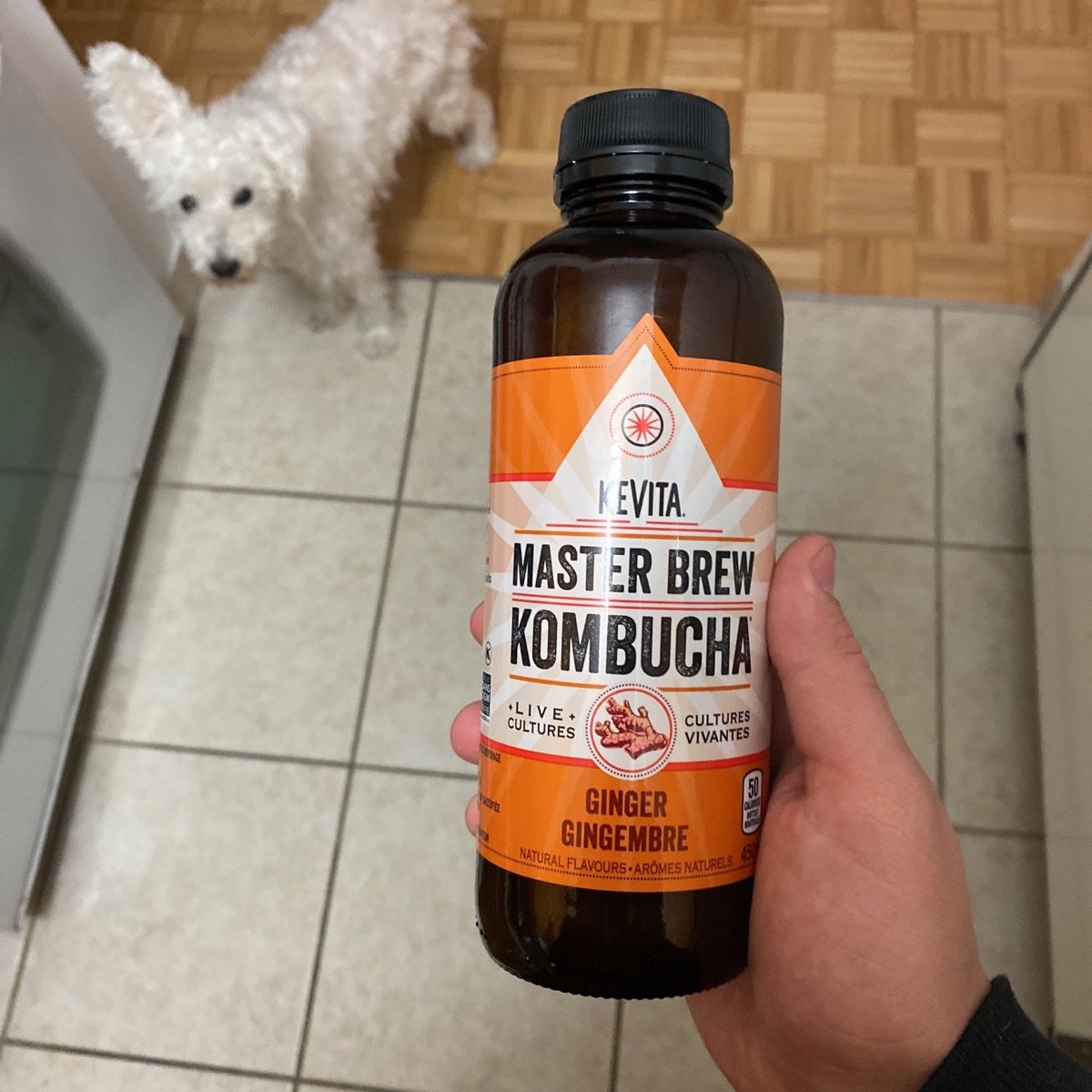 KeVita Master brew Kombucha Ginger Reviews abillion
