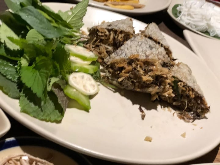 photo of Hum Vegetarian, Lounge & Restaurant Squared Deep Fried Spring Rolls shared by @aparnasa on  22 Dec 2019 - review