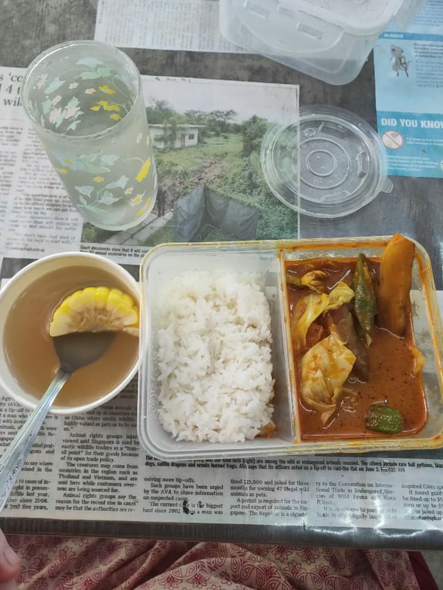 Foto del plato “Vegetable Curry And Rice”