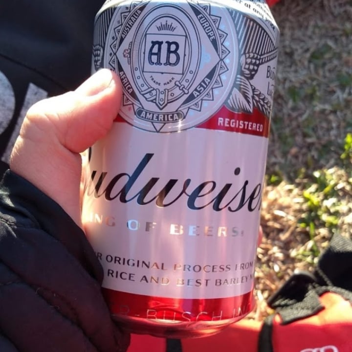 photo of Budweiser Cerveza shared by @brxana on  21 Nov 2020 - review
