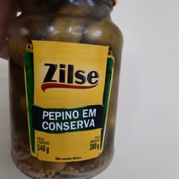 Zilse