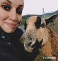 lulexfiolieen @lulexfiolieen profile image