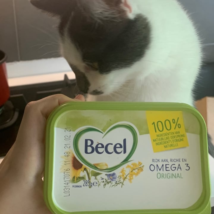 photo of Becel Becel Vegan shared by @mousy on  03 Jul 2021 - review