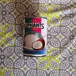 Twin Elephants & Earth Brand