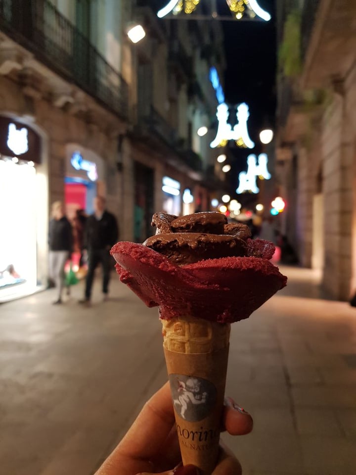 review photo of Amorino Barcelona CC Las Arenas / Plaça Espanya Helado De Chocolate Y Frutos Rojos shared by @diannorz on 25 Dec 2019 - review