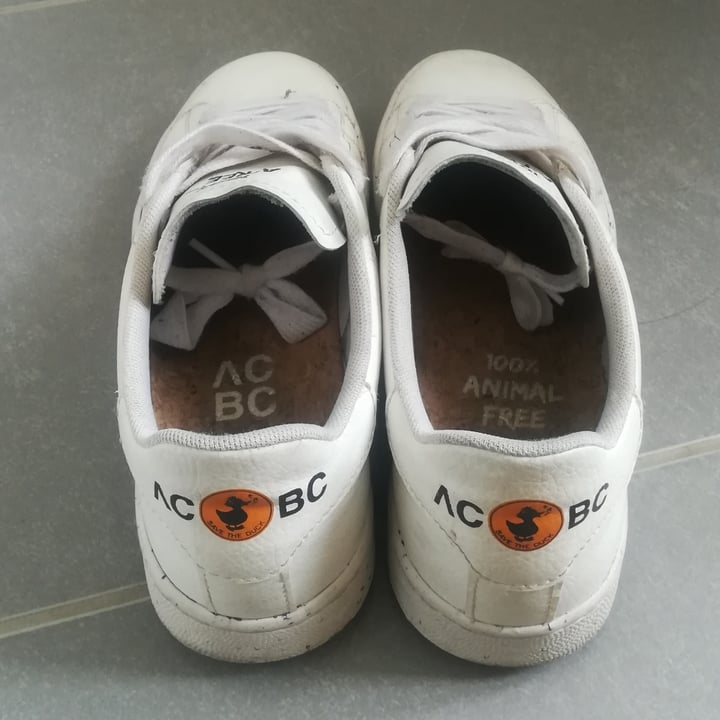 review photo of ACBC x Save The Duck Sneakers shared by @sarabi on 30 Mar 2022 - review