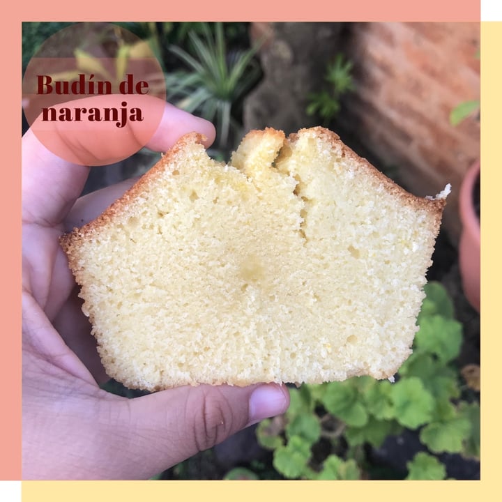 photo of Pureza Harina Leudante shared by @iaramcardozo on  12 Feb 2020 - review